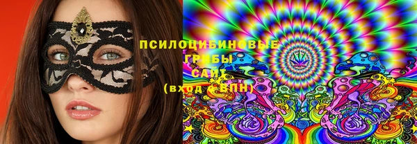 ешки Богданович